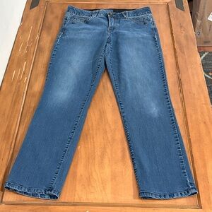 Democracy Absolution Blue Denim Jeans Size 8